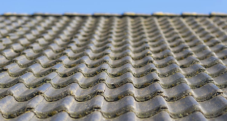 Concrete Ridge Tile Roofing South Pasadena